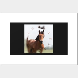 Sorrel horse on pasture Posters and Art